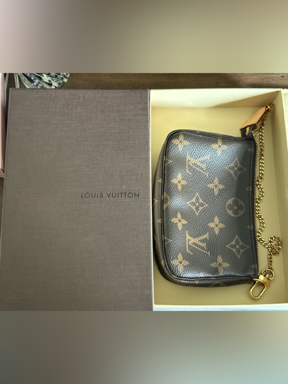 Louis Vuitton Mini Pochette Accessoires - Picture 13 of 15